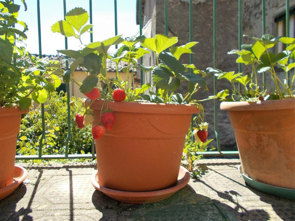 Casa Ginevra Villa Bagni di Lucca Luaran gambar